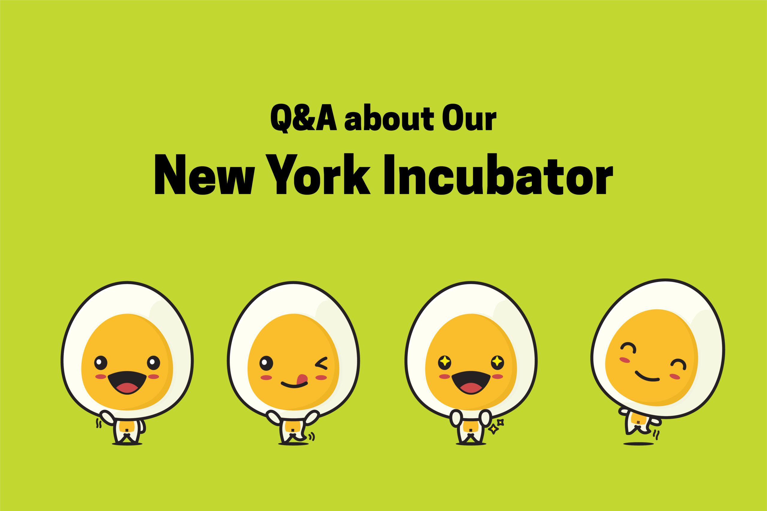 "Q&A about Our New York Incubator" on bright light green background with 4 graphic eggs with emoji-like faces